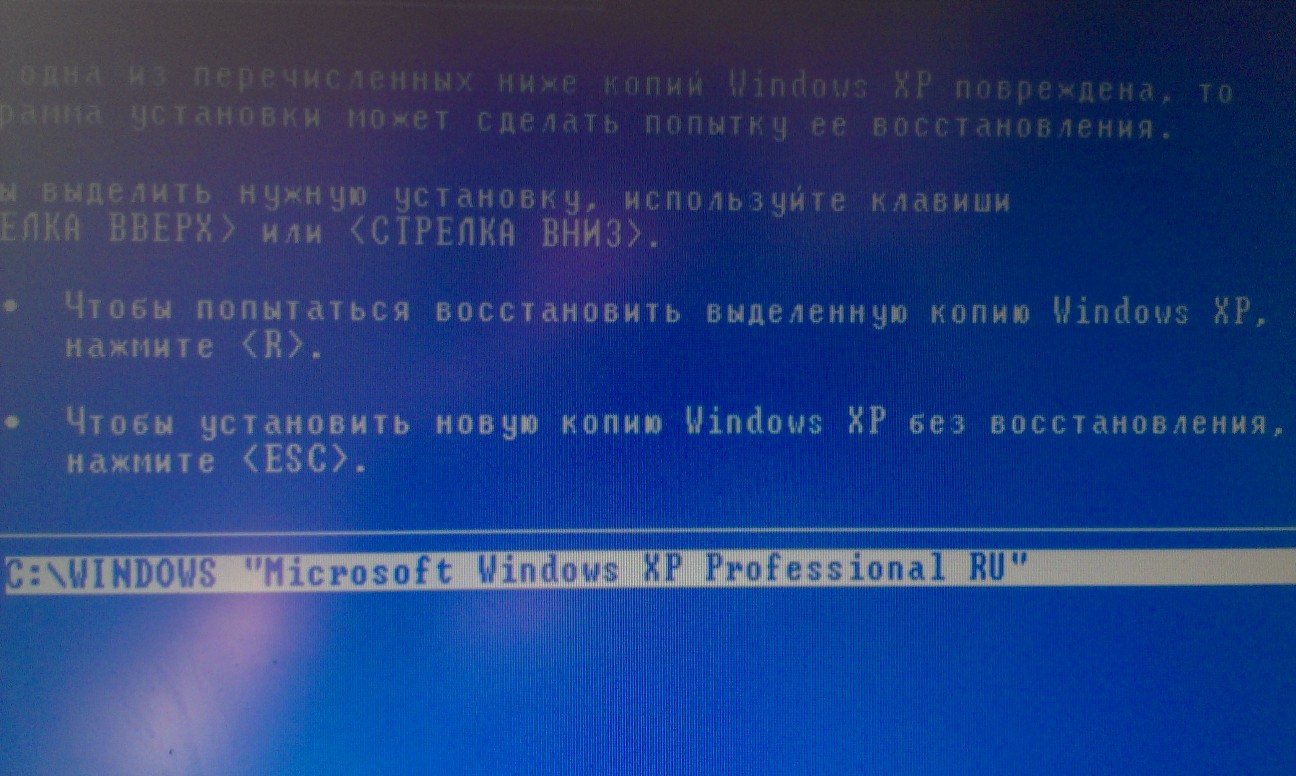 Переустановки видит жесткий. Установка Windows XP. Установщик Windows XP. Установка виндовс хр. Windows XP диск.